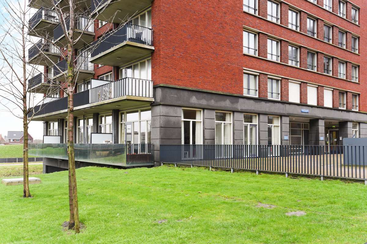 Harriët Freezerhof  111 in Den Haag
